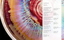 Load image into Gallery viewer, AMAZING GLAZE, RECIPES & COMBINATIONS - KLINE