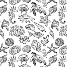 Load image into Gallery viewer, UNDERGLAZE DECAL TRANSFER - SEA SHELLS