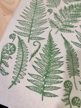 Load image into Gallery viewer, ELAN TRANSFERS UNDERGLAZE DECAL - JUNGLE FERNS