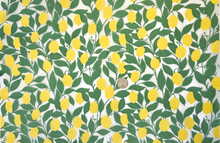 Load image into Gallery viewer, UNDERGLAZE DECAL TRANSFER - LEMONS PATTERN