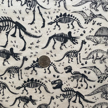 Load image into Gallery viewer, ELAN TRANSFERS UNDERGLAZE DECAL  - DINOSAURS
