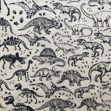 Load image into Gallery viewer, ELAN TRANSFERS UNDERGLAZE DECAL  - DINOSAURS
