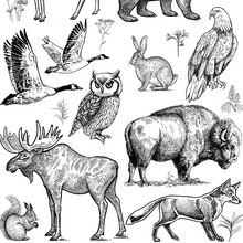 Load image into Gallery viewer, UNDERGLAZE DECAL TRANSFER  - FOREST ANIMALS
