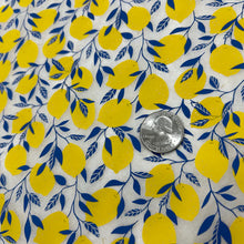 Load image into Gallery viewer, ELAN TRANSFERS UNDERGLAZE DECAL - LEMONS
