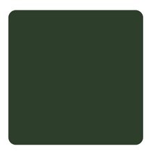 Load image into Gallery viewer, MASON® STAIN 6202, FLORENTINE
