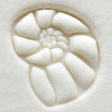 Load image into Gallery viewer, MKM SMALL STAMP - NAUTILUS (SCS-021)
