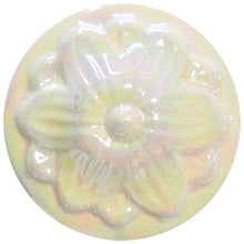 Load image into Gallery viewer, COLOROBBIA MOTHER OF PEARL LUSTRE - 25 GRAMS
