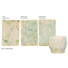 Load image into Gallery viewer, AMACO MOSS MIST PCF-75
