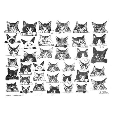 Underglaze Decal -Cats
