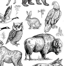 Load image into Gallery viewer, Underglaze Decal - Forest Animals
