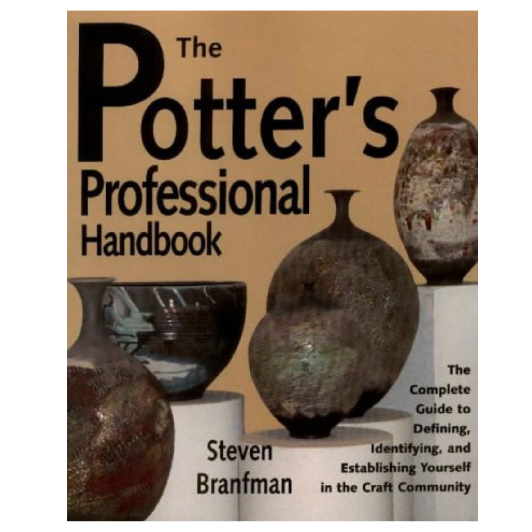 POTTER'S PROFESSIONAL HANDBOOK - BRANFMAN