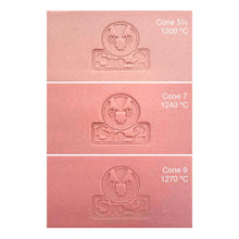 Load image into Gallery viewer, SIO-2 UPSALA ROSE PORCELAIN 5KG
