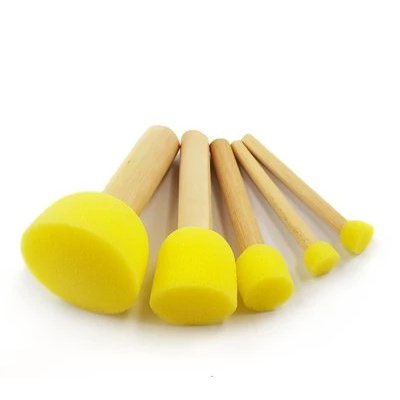 Loonie Sponge on a Stick Set